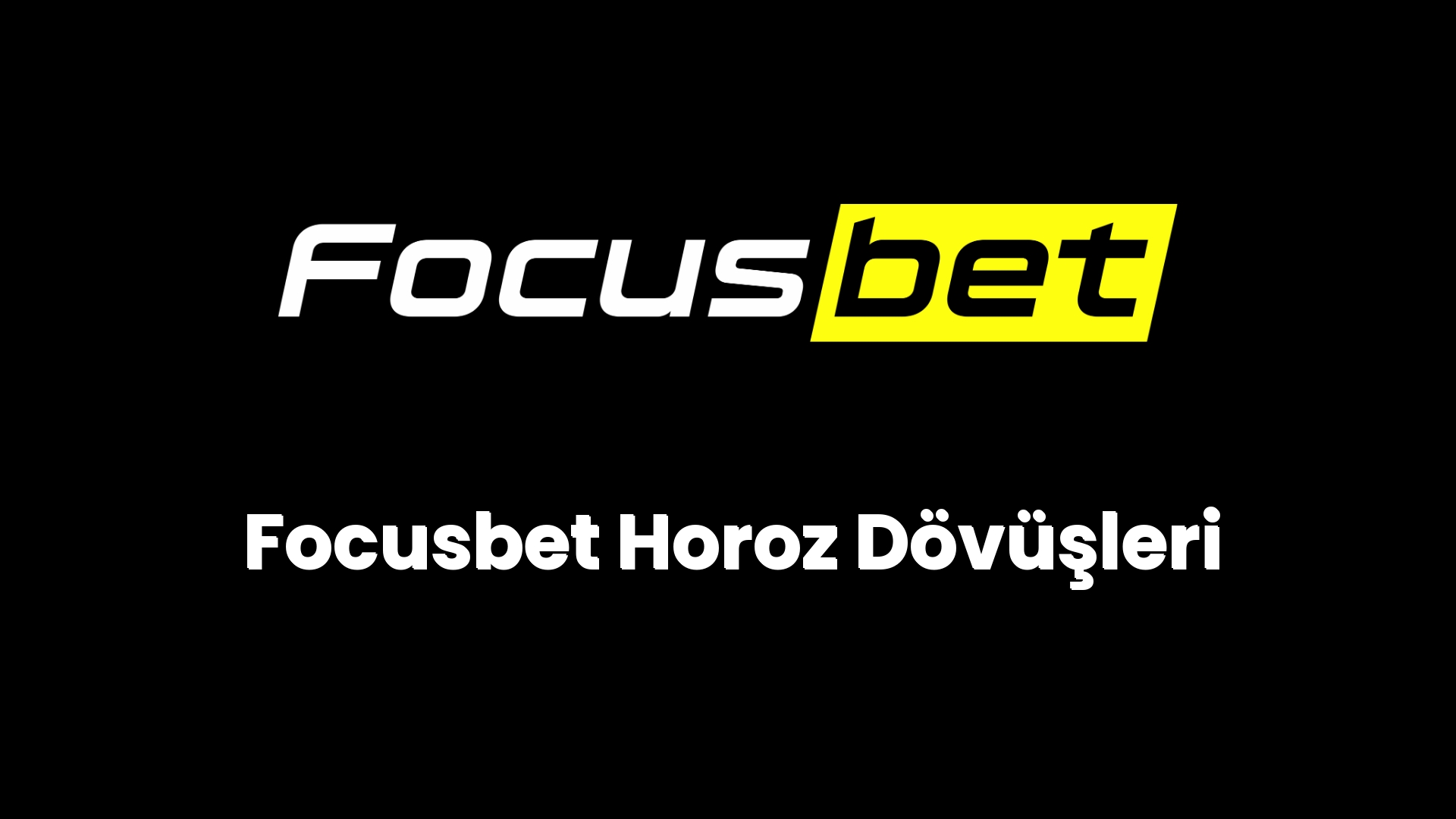 focusbet horoz dovusleri 126